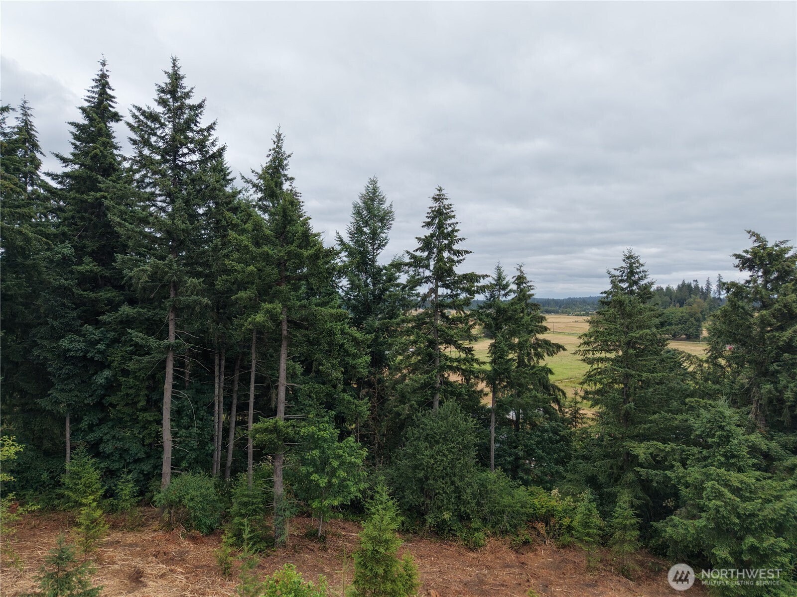 12345 Case Road Southwest Olympia, WA 98512 - Photo 23 of 35