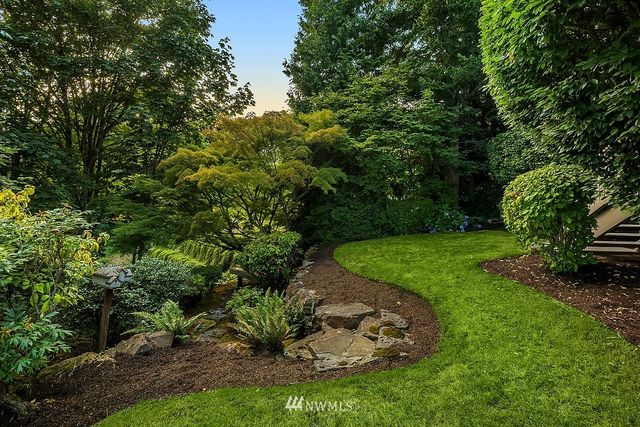 a view of a garden with a tree