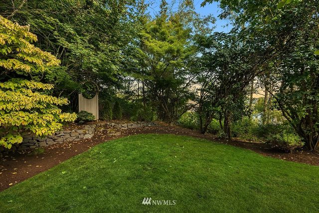 a view of a backyard with large trees