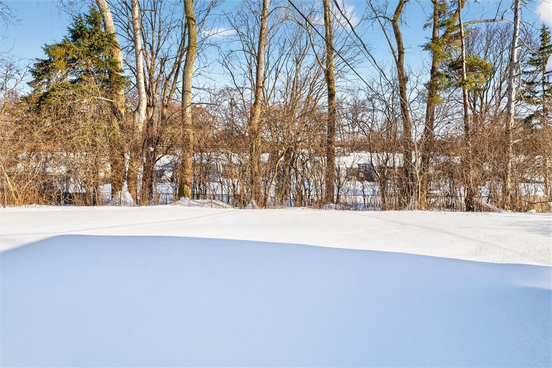 48 Rouge Road Henrietta, NY 14623 - Photo 5 of 29