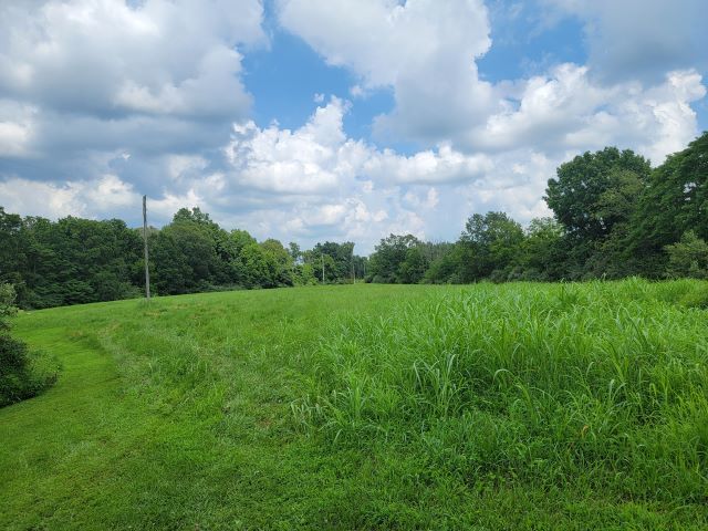 2035 Mt Hebron Road Makanda, IL 62958 - Photo 41 of 44