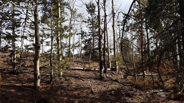 826 Princess Road Cripple Creek, CO 80813 - Photo 22 of 33 Gallery Image 22