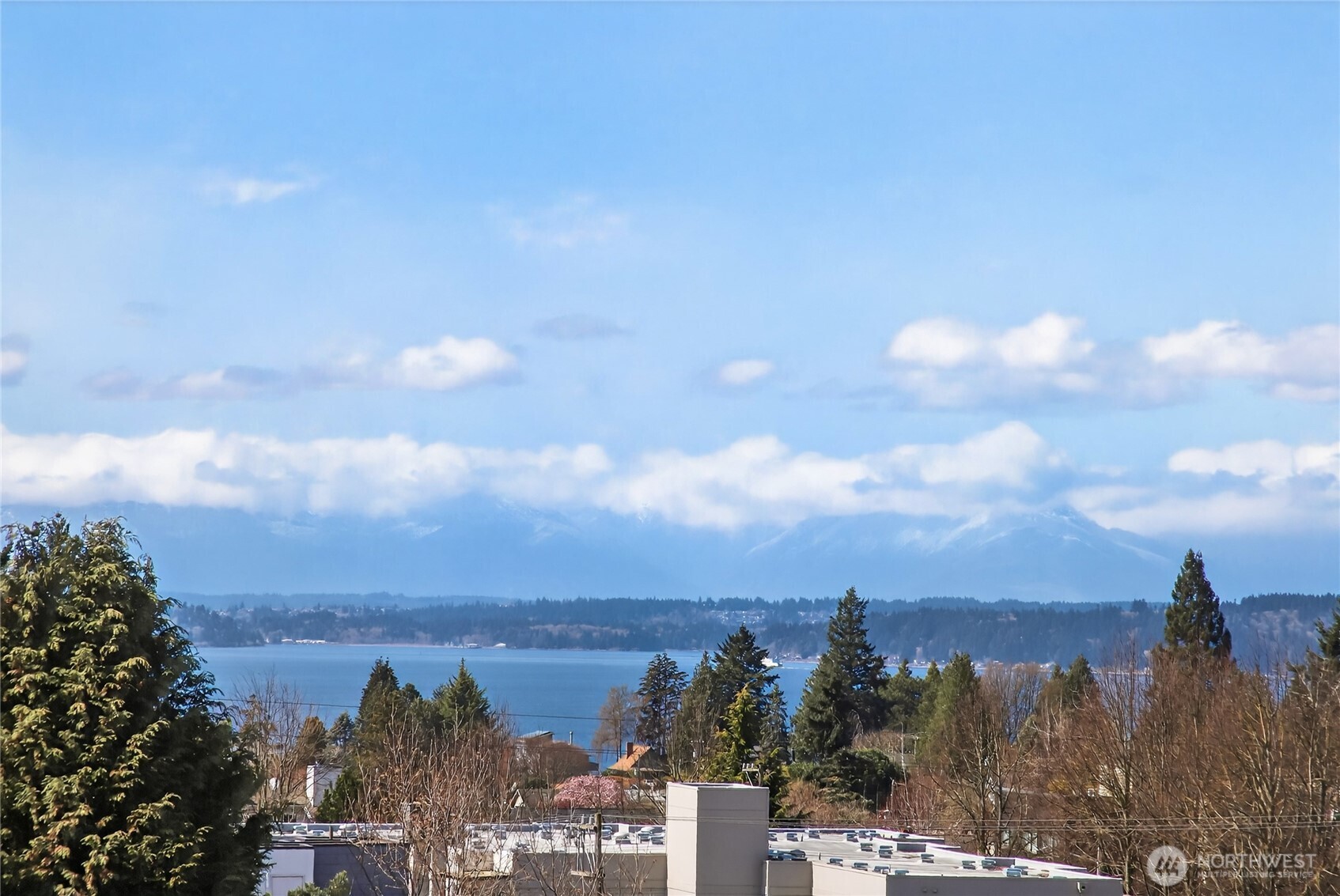 6320 41st Avenue Southwest, Unit B Seattle, WA 98136 - Photo 25 of 31