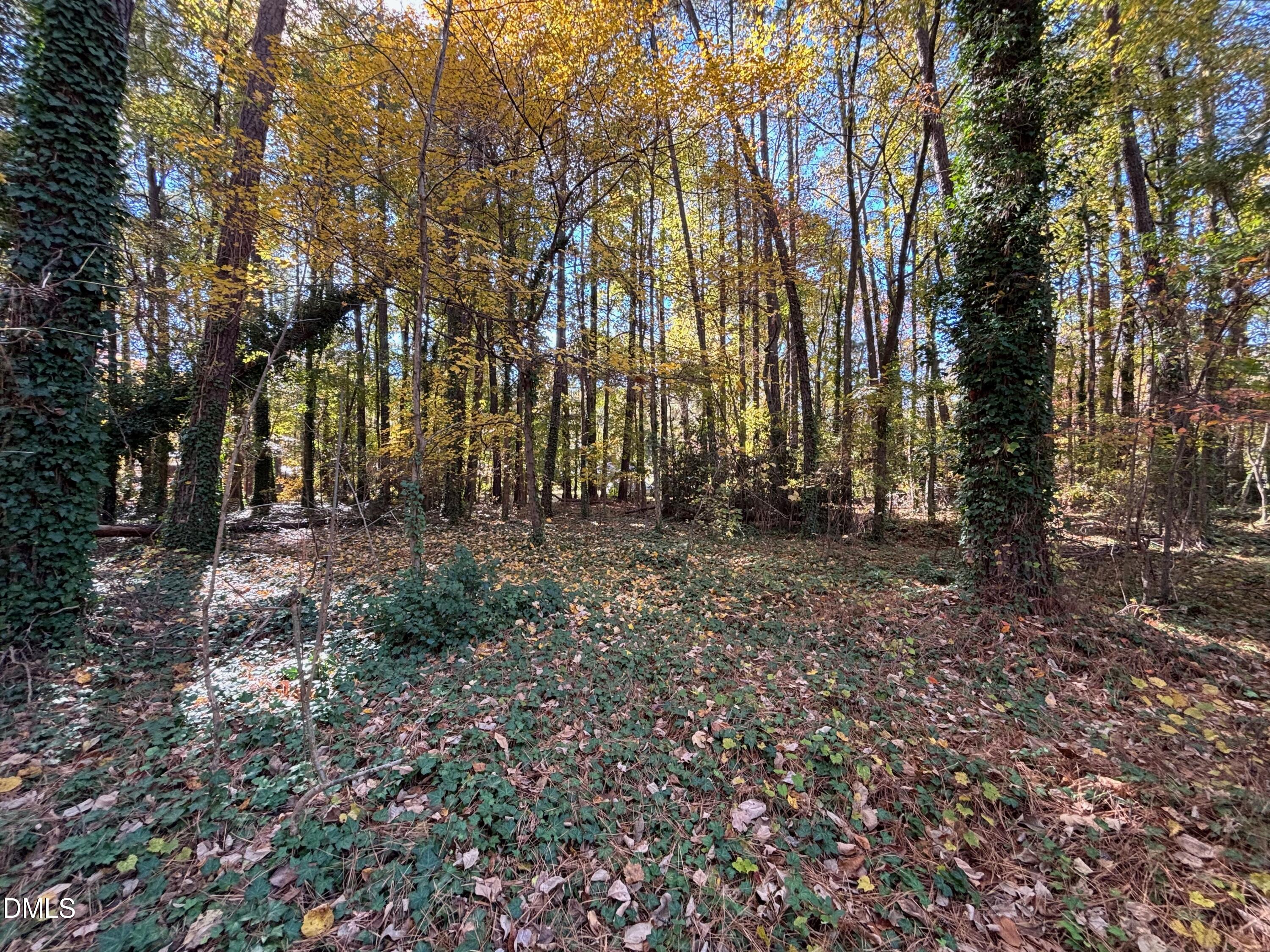 3216 Duke Homestead Road Durham, NC 27704 - Photo 1 of 12 a view of outdoor space with trees