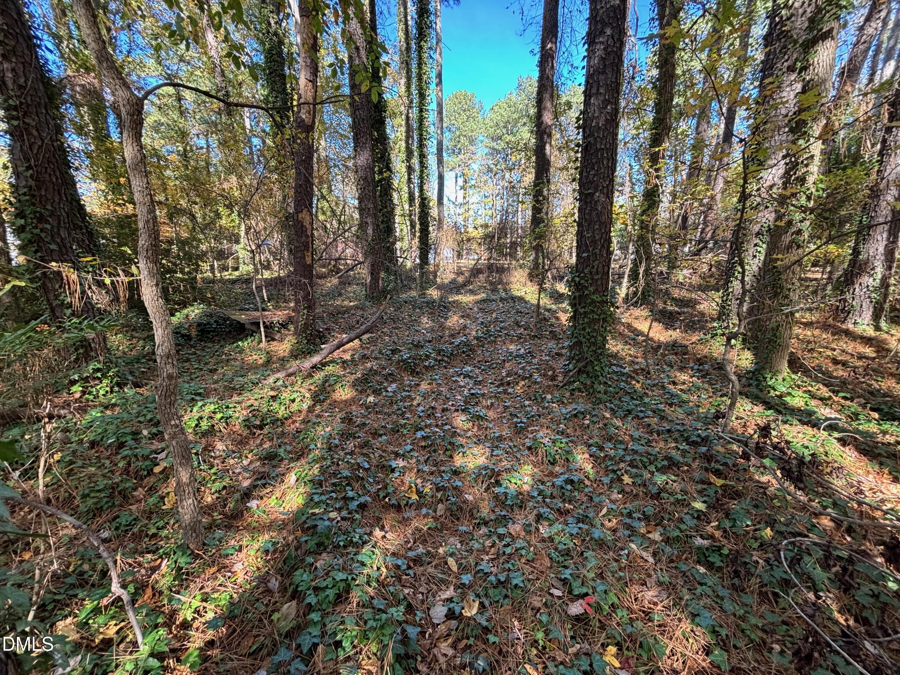 3216 Duke Homestead Road Durham, NC 27704 - Photo 11 of 12 a view of a forest with trees