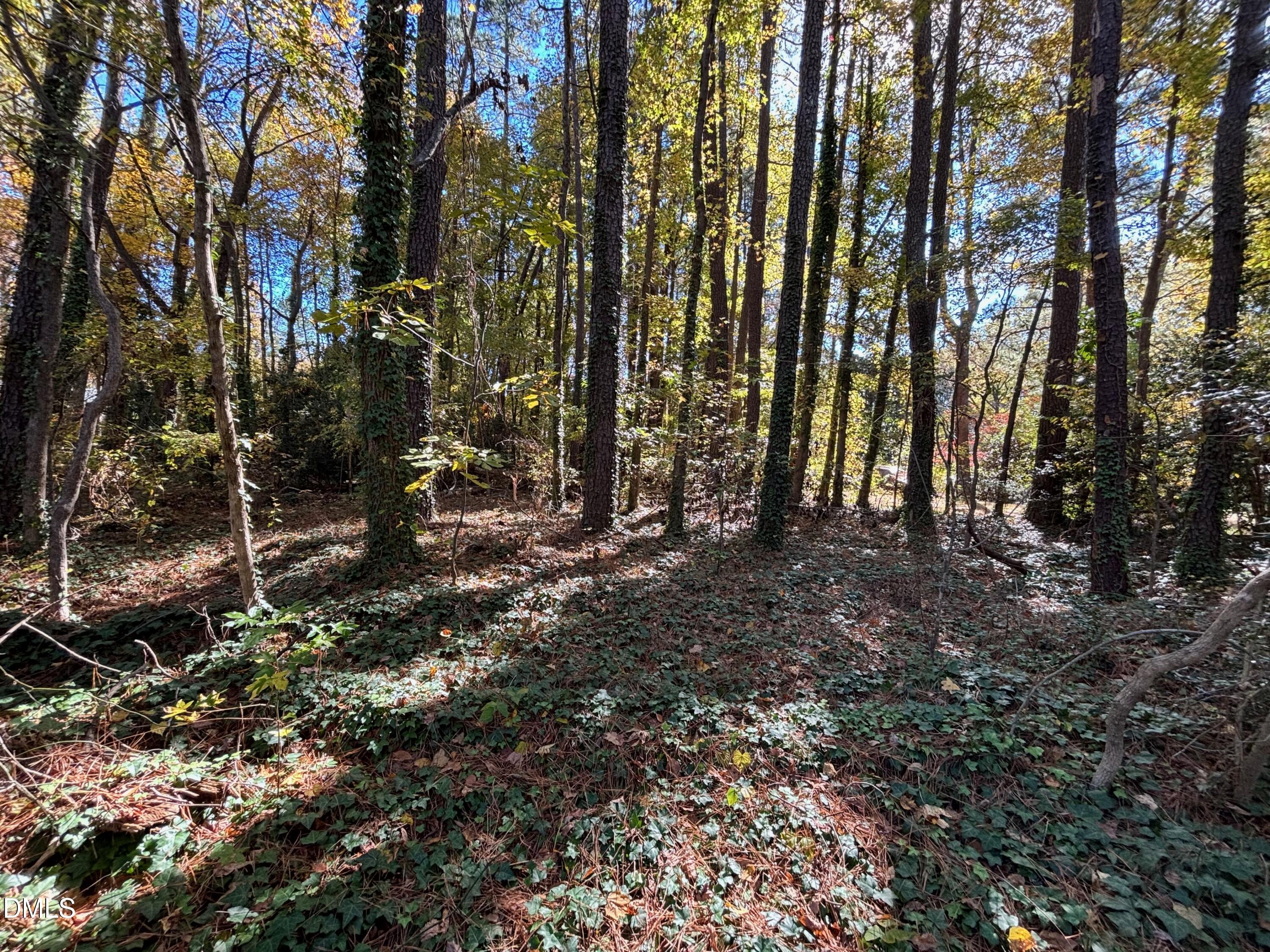 3216 Duke Homestead Road Durham, NC 27704 - Photo 12 of 12 a view of outdoor space with lots of trees