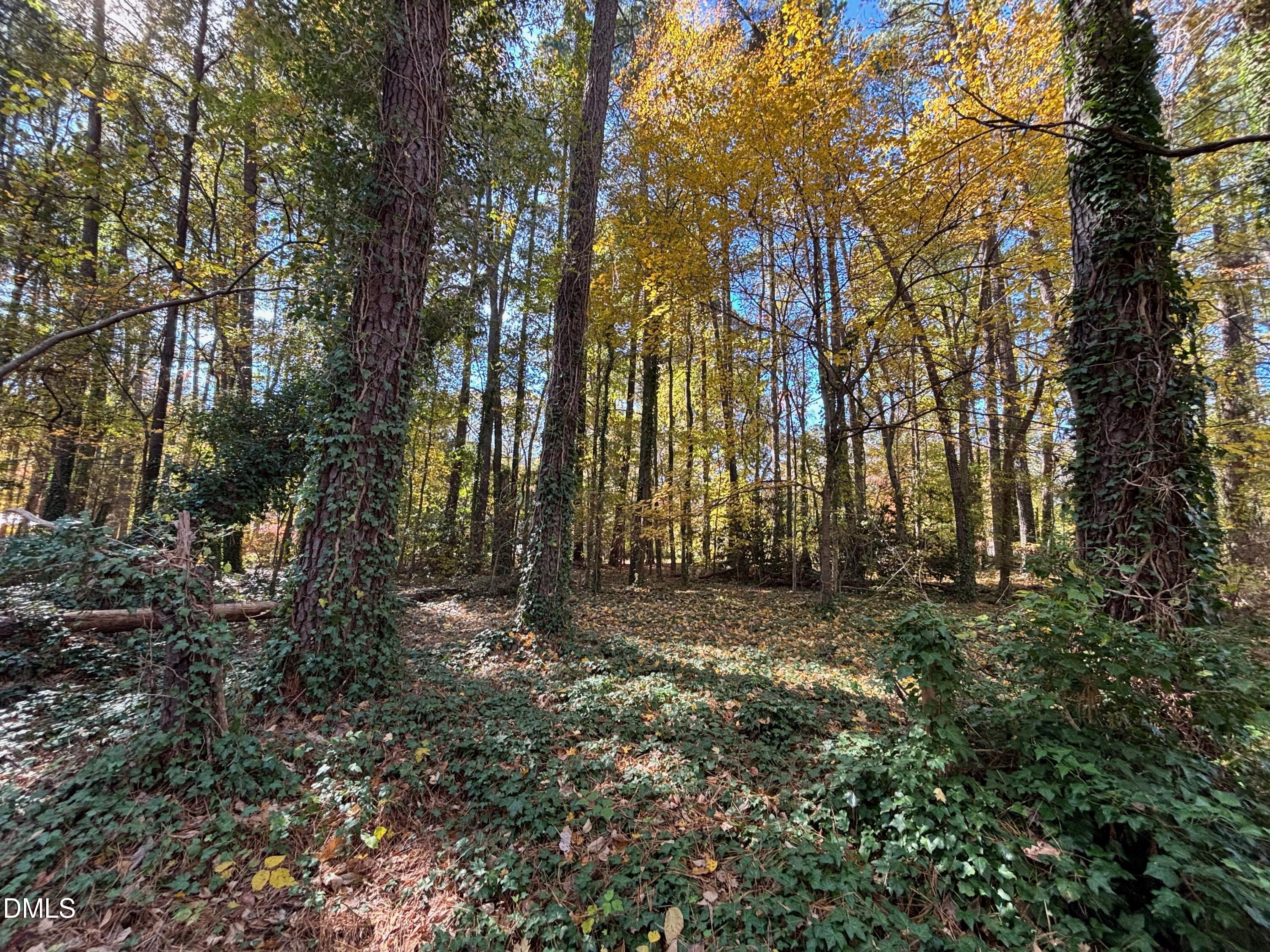 3216 Duke Homestead Road Durham, NC 27704 - Photo 2 of 12 a view of forest