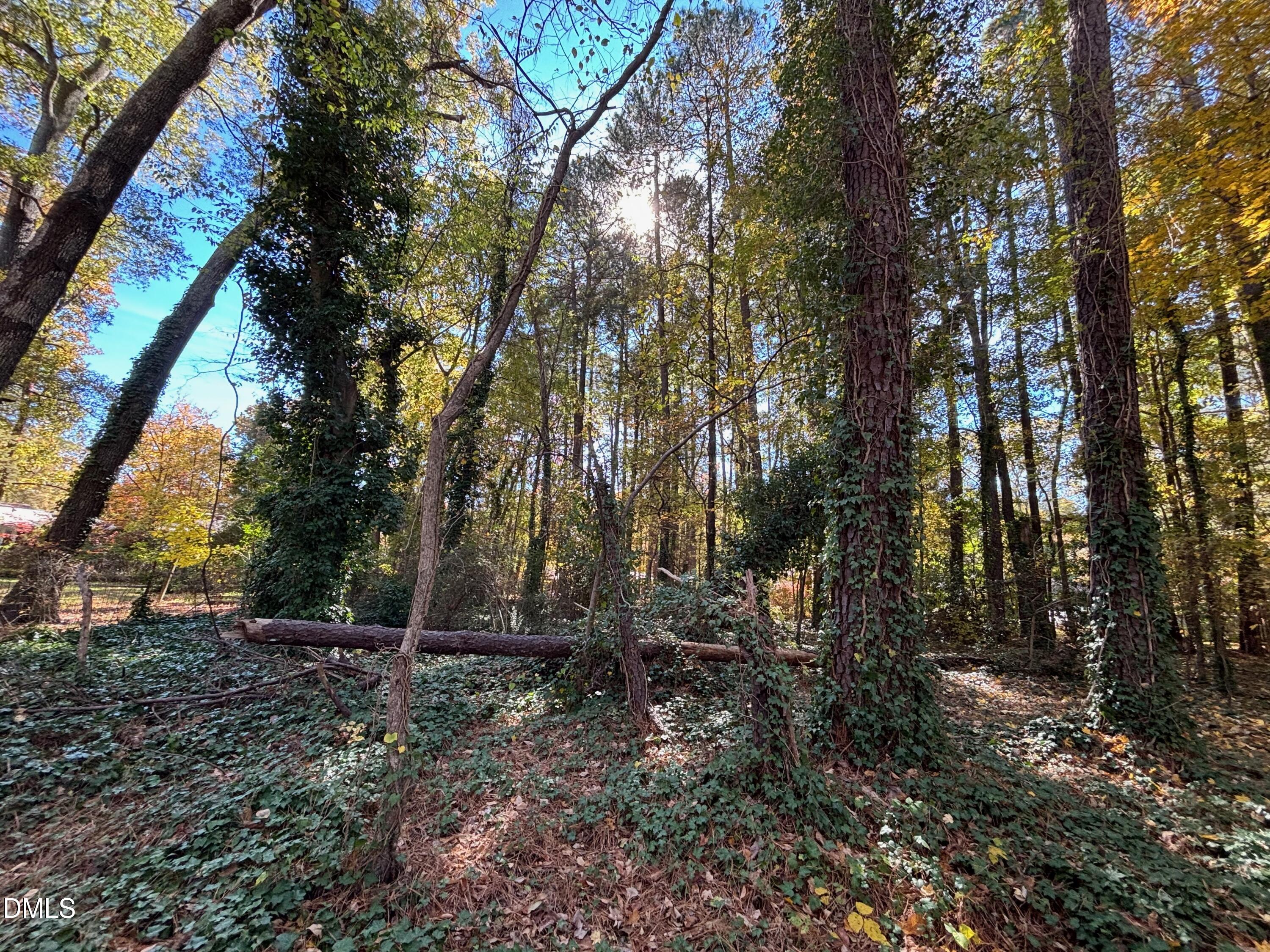 3216 Duke Homestead Road Durham, NC 27704 - Photo 5 of 12 a view of backyard with green space