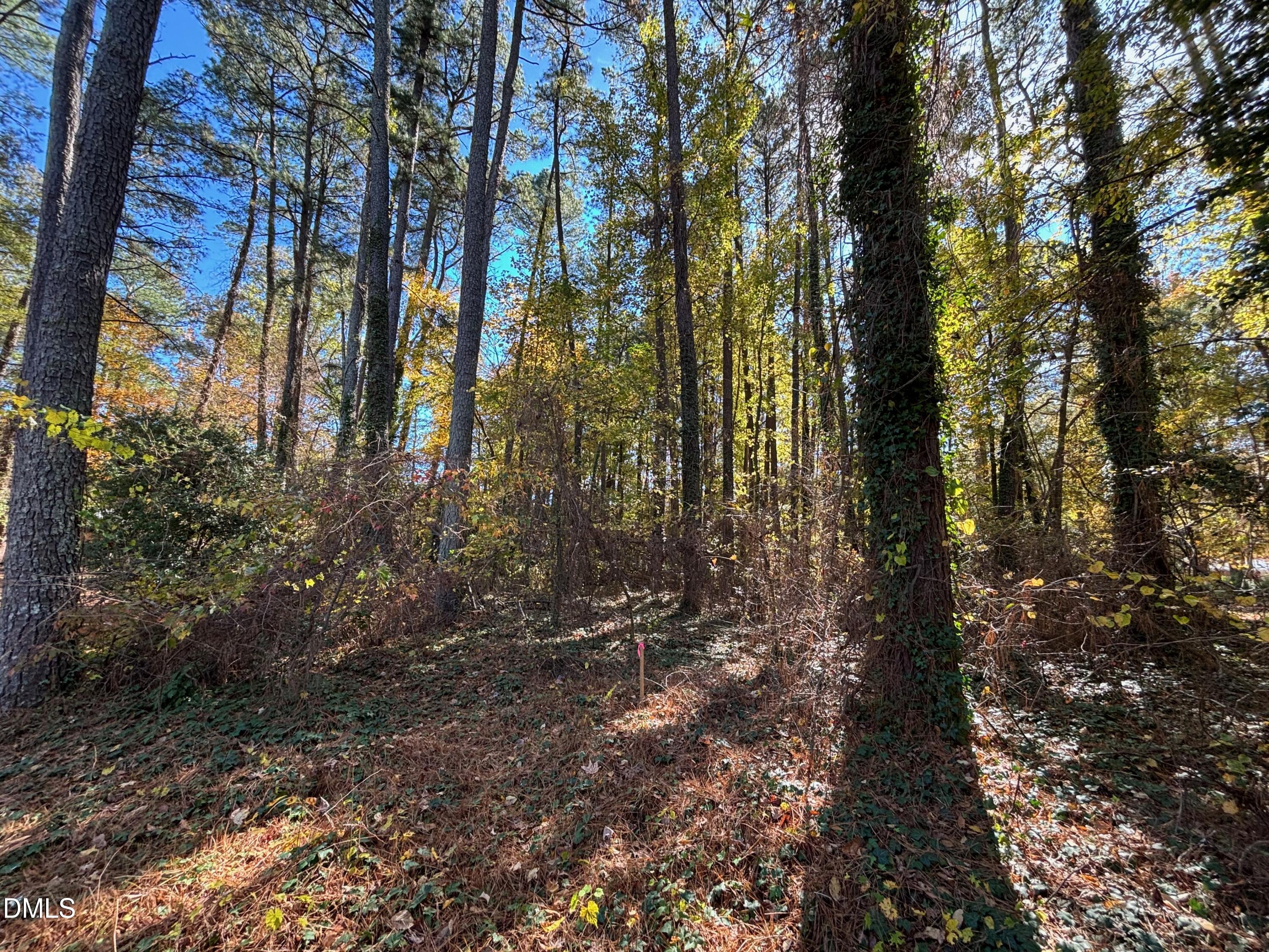 3216 Duke Homestead Road Durham, NC 27704 - Photo 6 of 12 a view of forest