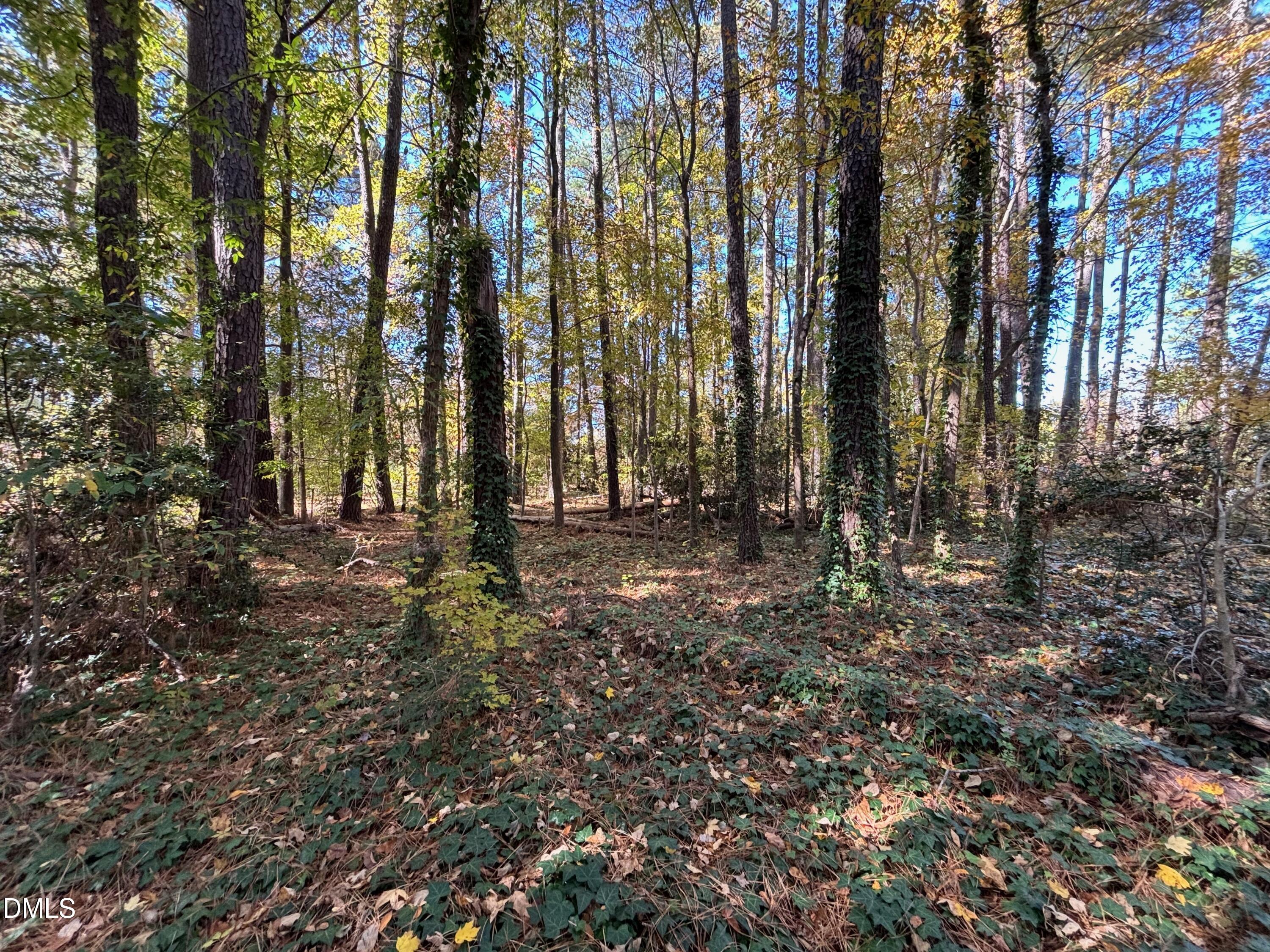 3216 Duke Homestead Road Durham, NC 27704 - Photo 7 of 12 a view of outdoor space with lots of trees