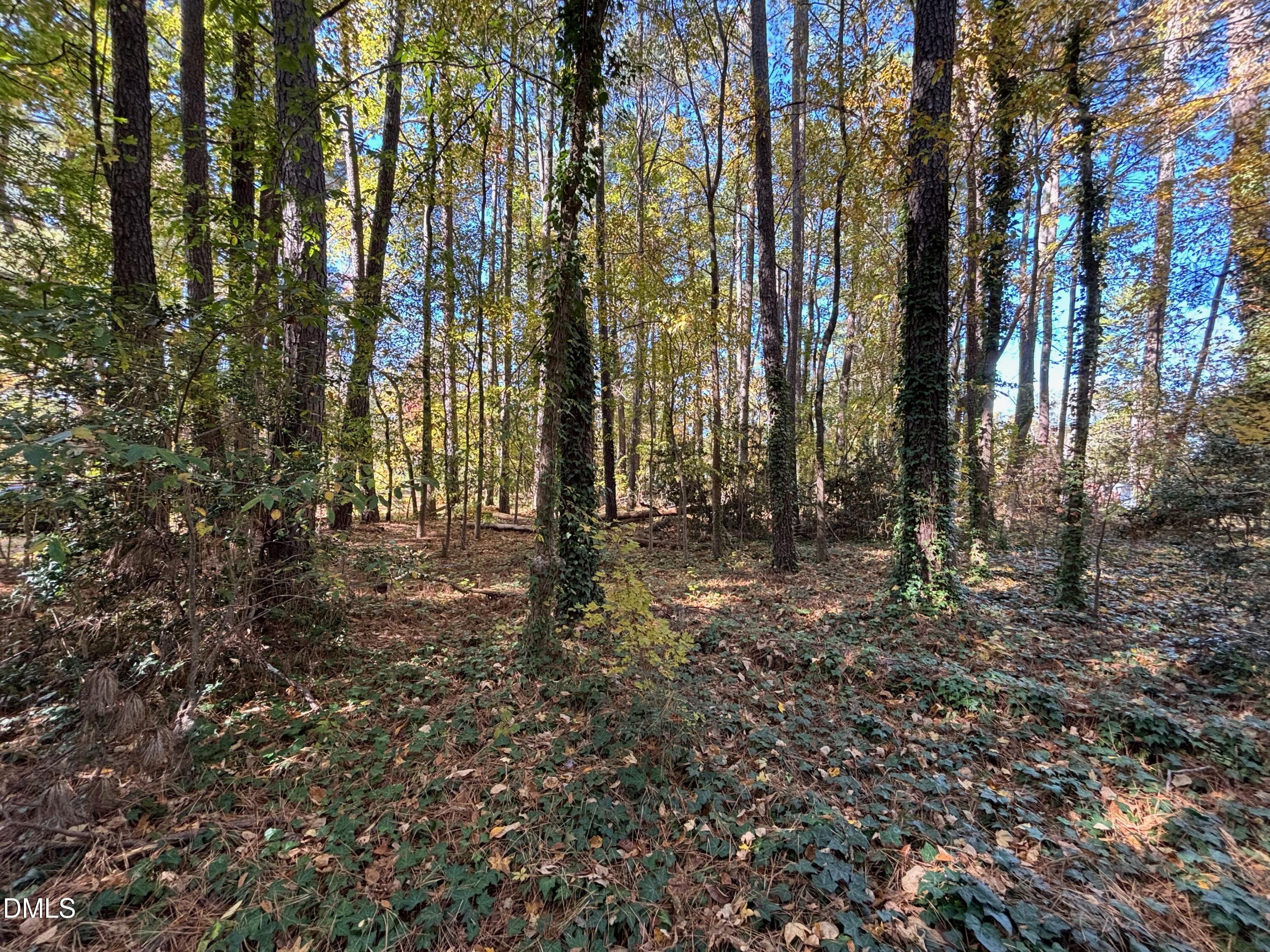 3216 Duke Homestead Road Durham, NC 27704 - Photo 8 of 12 a view of outdoor space with lots of trees
