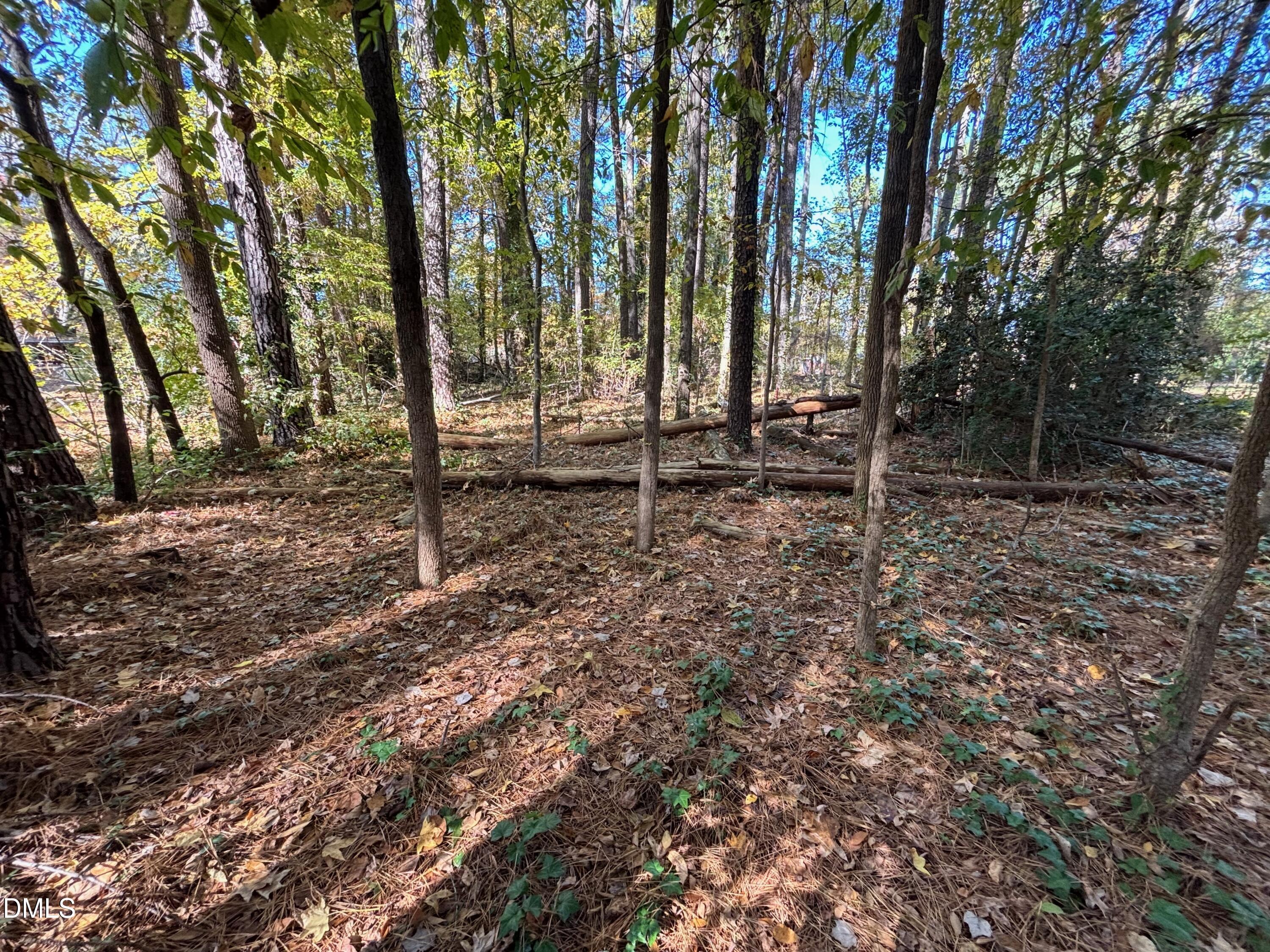 3216 Duke Homestead Road Durham, NC 27704 - Photo 9 of 12 a backyard of a house with lots of green space