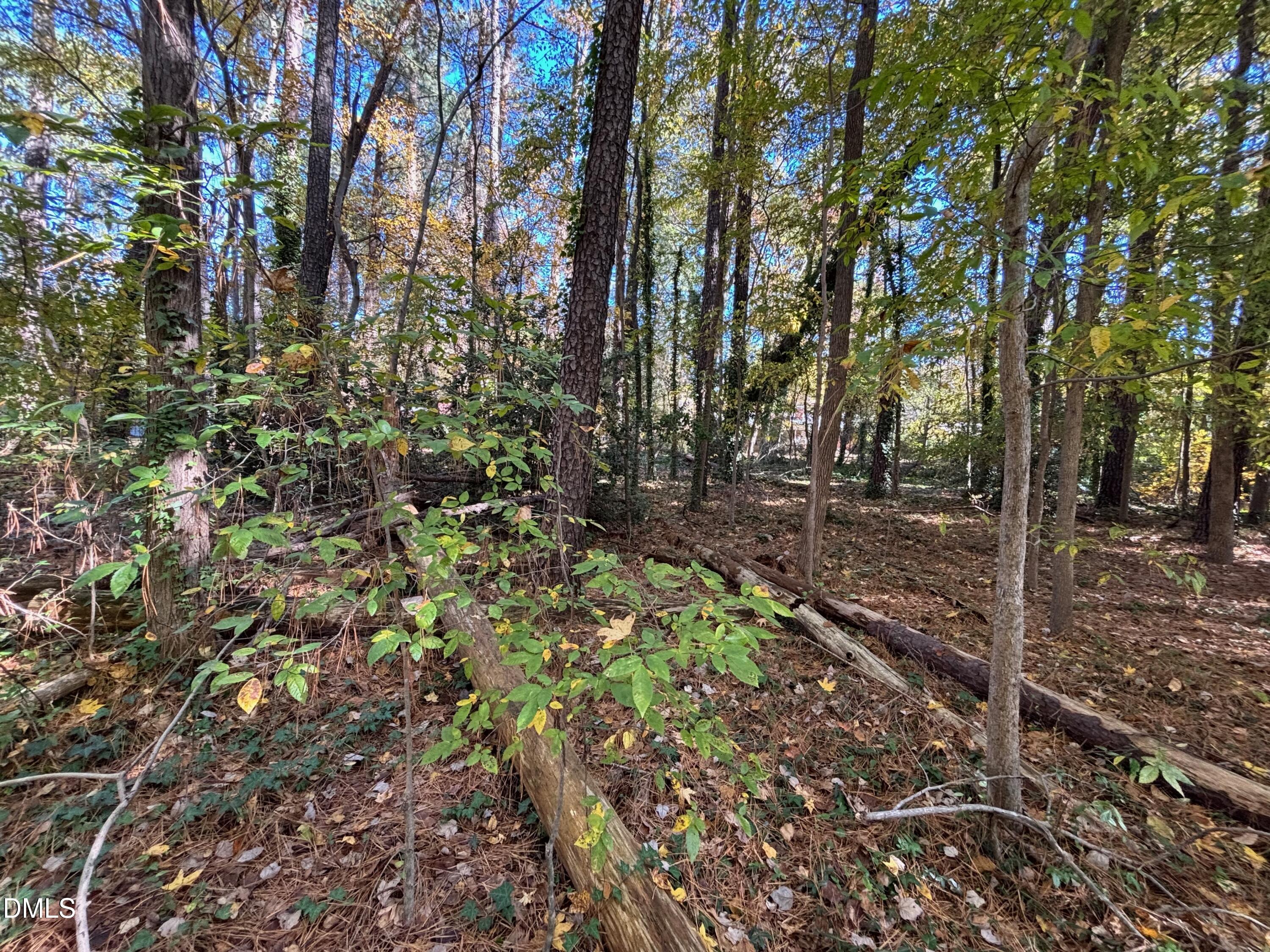 3216 Duke Homestead Road Durham, NC 27704 - Photo 10 of 12 a view of a forest with trees