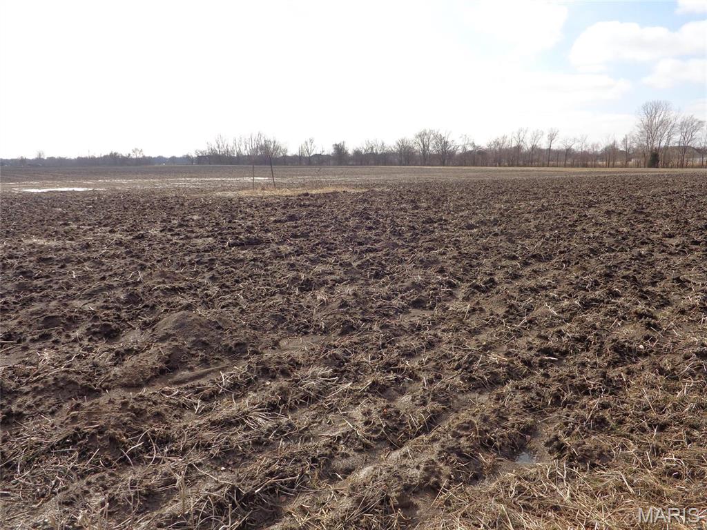 2614 Morrison Road Granite City, IL 62040 - Photo 11 of 12