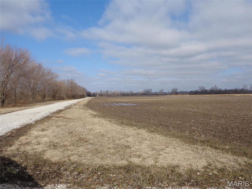 2614 Morrison Road Granite City, IL 62040 - Photo 4 of 12
