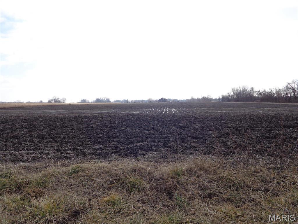 2614 Morrison Road Granite City, IL 62040 - Photo 8 of 12