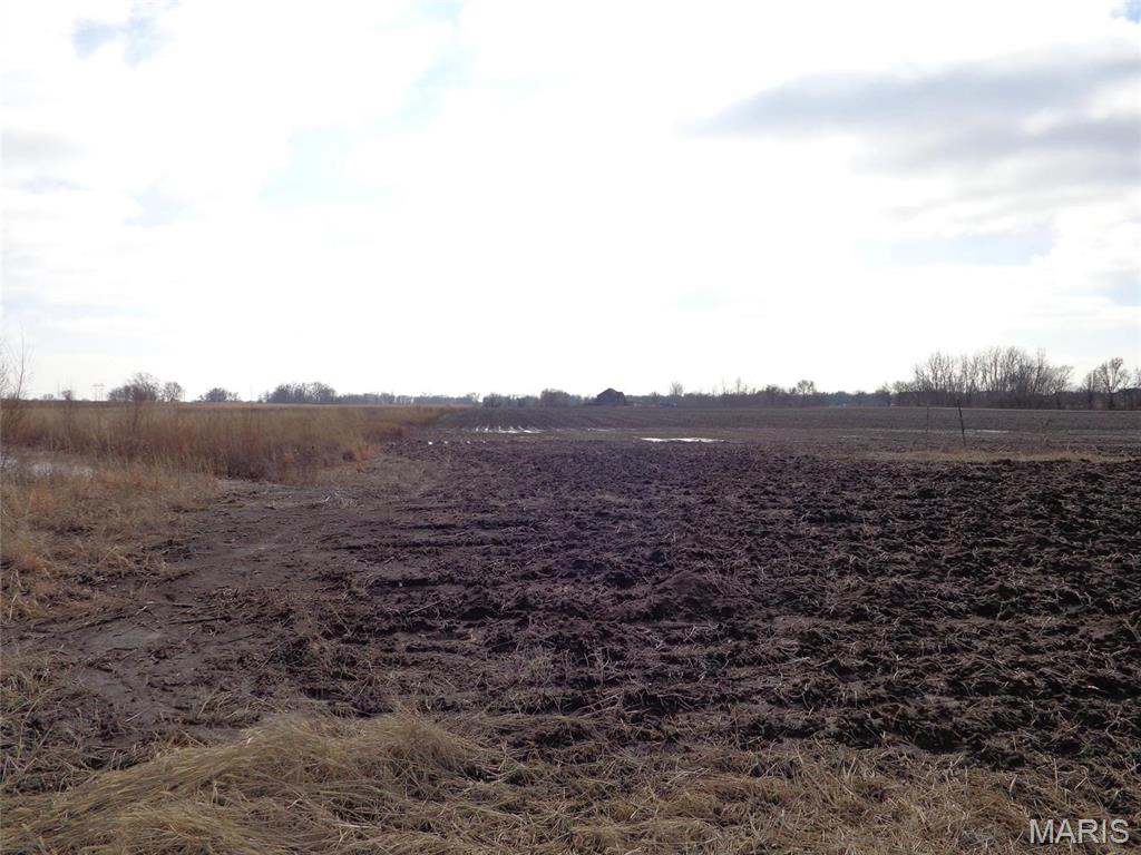 2614 Morrison Road Granite City, IL 62040 - Photo 9 of 12