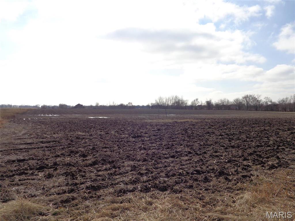 2614 Morrison Road Granite City, IL 62040 - Photo 10 of 12