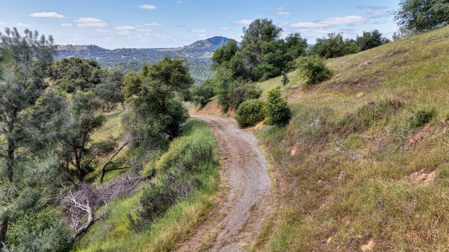 3466 Howard Road San Andreas, CA 95249 - Photo 42 of 61