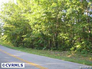 1265 Nutbush Road Victoria, VA 23974 - Photo 3 of 3 a view of a yard with plants and trees beside of it