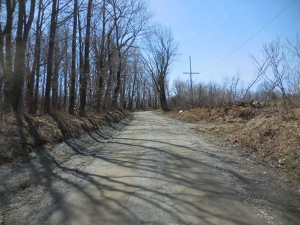 0 Cone Road Chester, MA 01011 - Photo 3 of 12