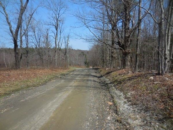 0 Cone Road Chester, MA 01011 - Photo 4 of 12