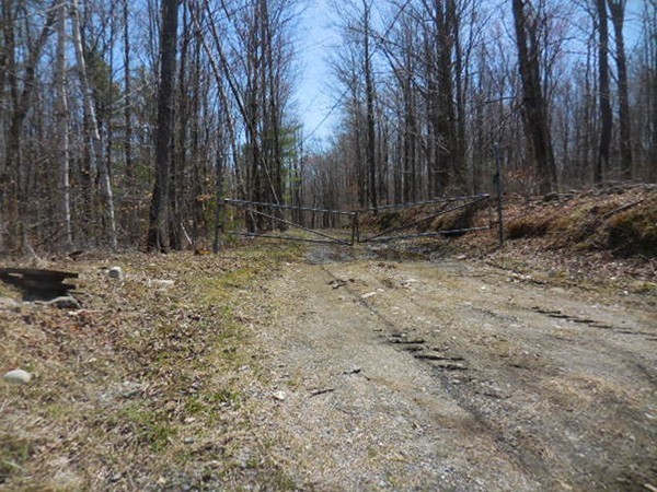 0 Cone Road Chester, MA 01011 - Photo 6 of 12