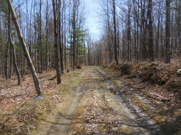 0 Cone Road Chester, MA 01011 - Photo 7 of 12