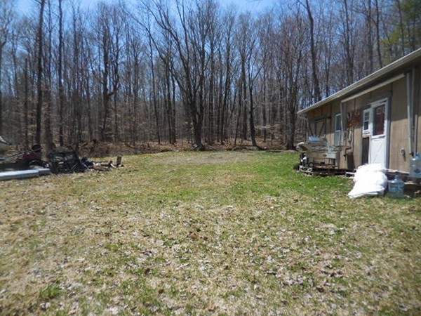 0 Cone Road Chester, MA 01011 - Photo 8 of 12