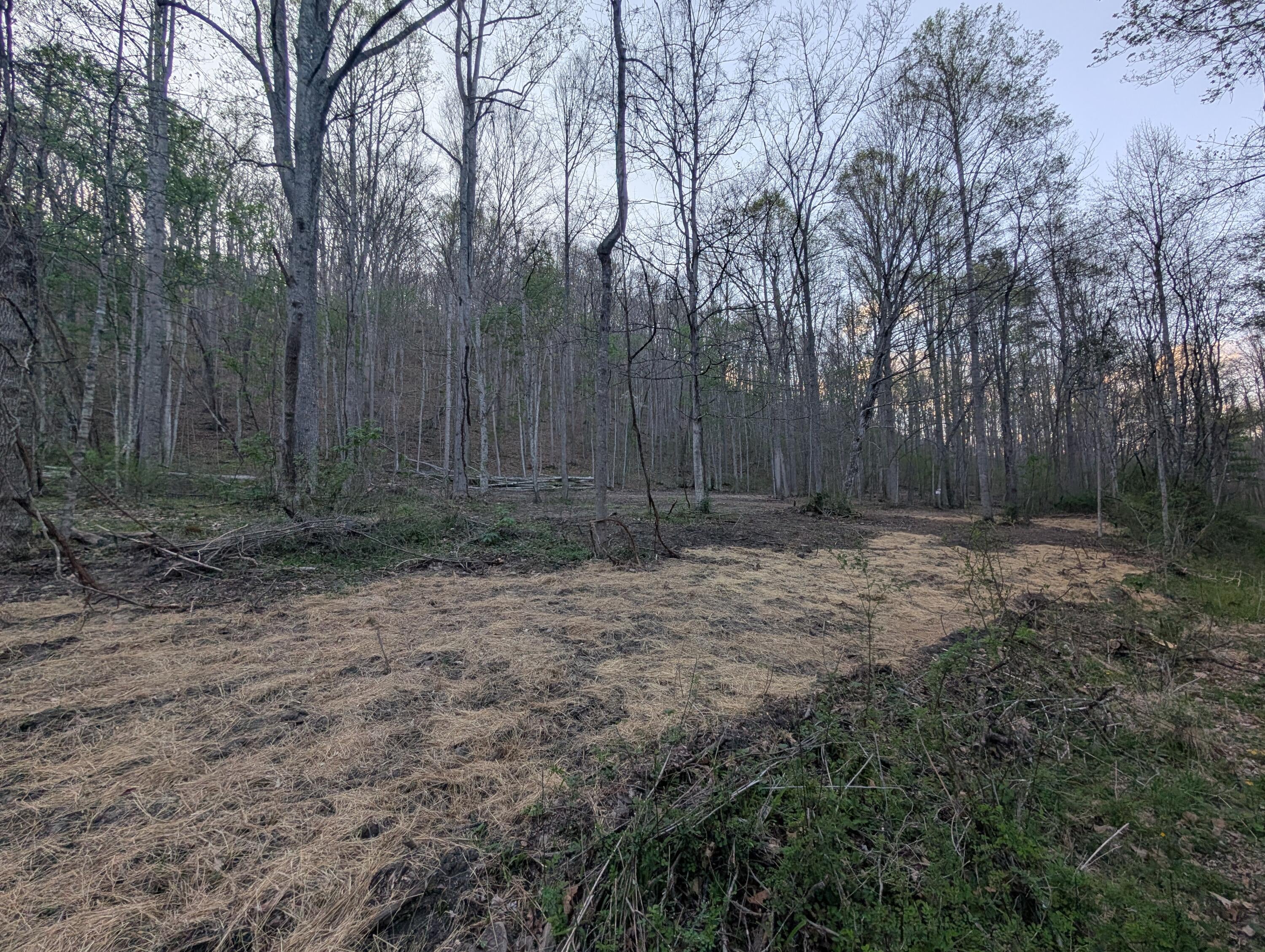 Tbd Keister Road Ronceverte, WV 24970 - Photo 5 of 14 Gallery Image 5