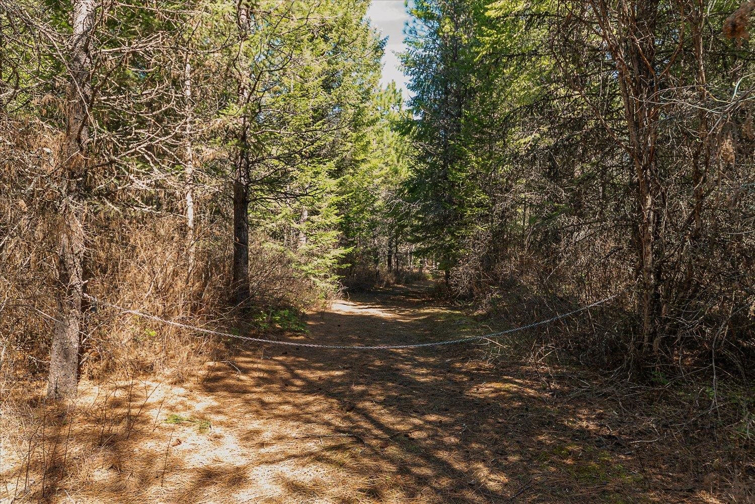 963 Thompson Road Elk, WA 99009 - Photo 15 of 30