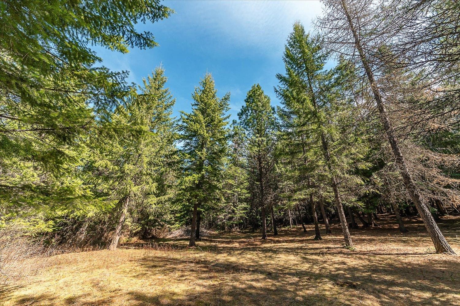 963 Thompson Road Elk, WA 99009 - Photo 21 of 30