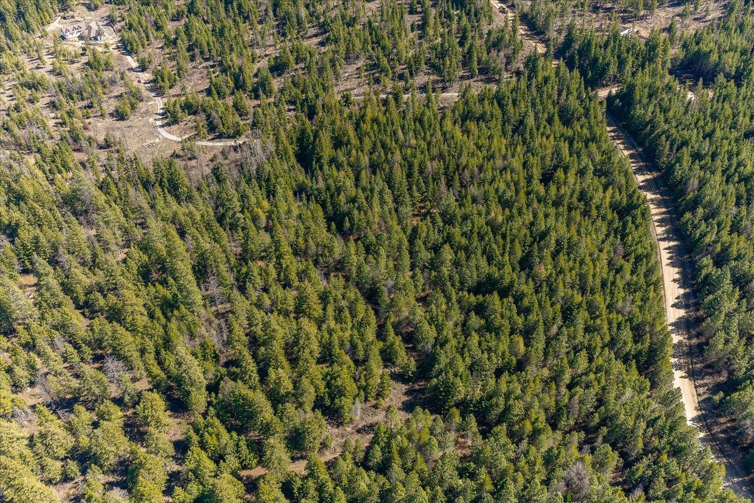 963 Thompson Road Elk, WA 99009 - Photo 23 of 30