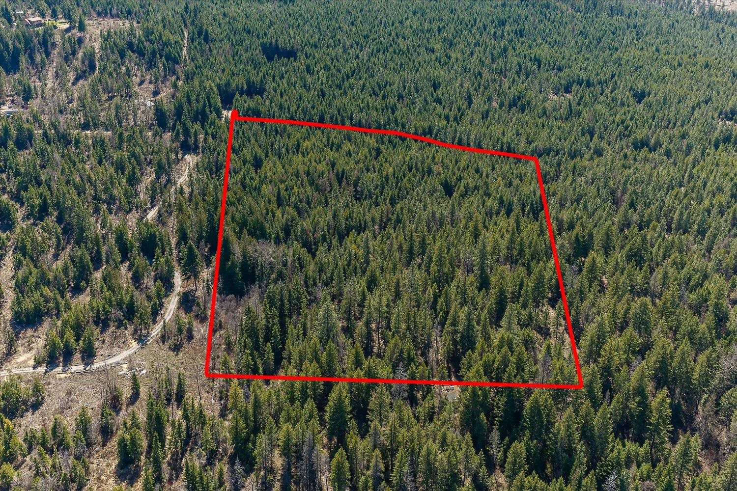 963 Thompson Road Elk, WA 99009 - Photo 28 of 30