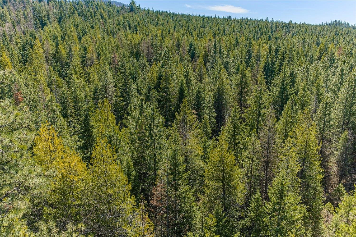 963 Thompson Road Elk, WA 99009 - Photo 29 of 30