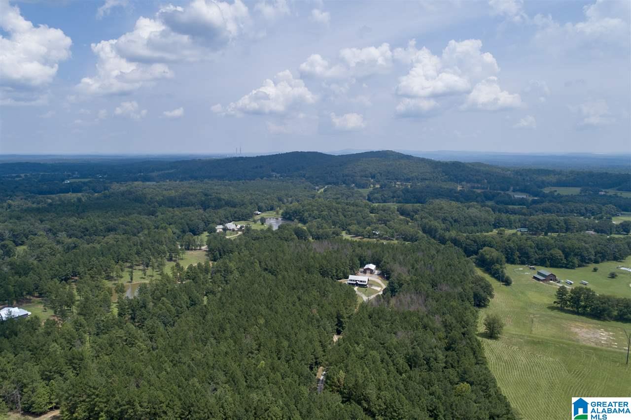 1024 Alston Farm Road Columbiana, AL 35051 - Photo 8 of 45