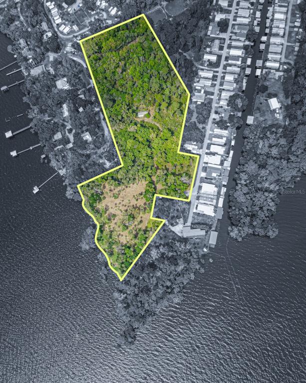 1675 Perch Lane Seville, FL 32190 - Photo 1 of 27 a view of a backyard with plants