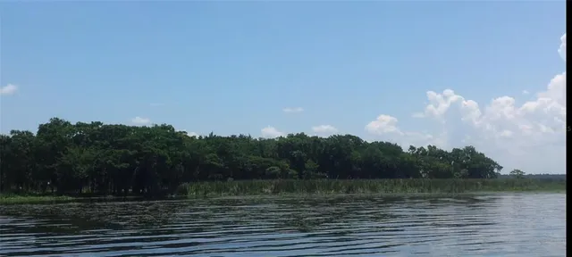 a view of a backyard with plants