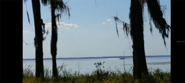 a view of a backyard of a house with a large tree