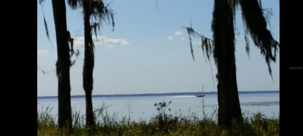 1675 Perch Lane Seville, FL 32190 - Photo 15 of 27 a view of walk in closet