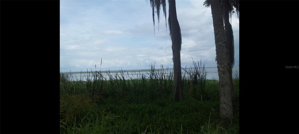 1675 Perch Lane Seville, FL 32190 - Photo 17 of 27