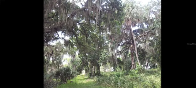 $599,995 | 1675 Perch Lane, Seville, FL 32190