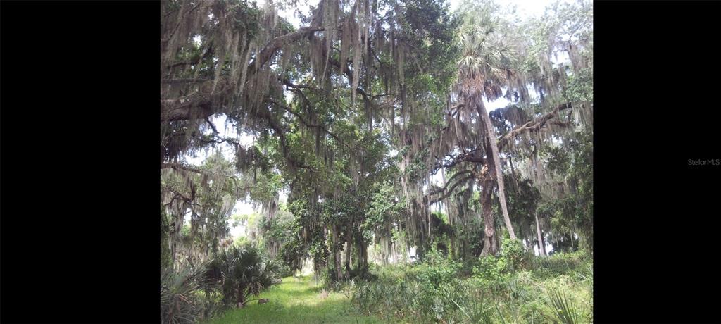 1675 Perch Lane Seville, FL 32190 - Photo 20 of 27