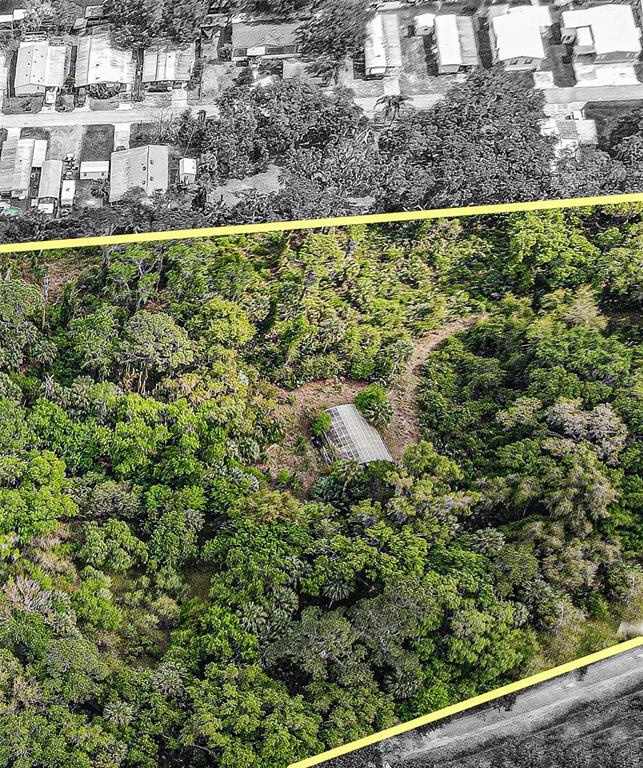 1675 Perch Lane Seville, FL 32190 - Photo 2 of 27 a view of a back yard