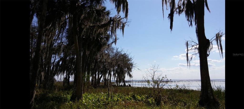 1675 Perch Lane Seville, FL 32190 - Photo 25 of 27