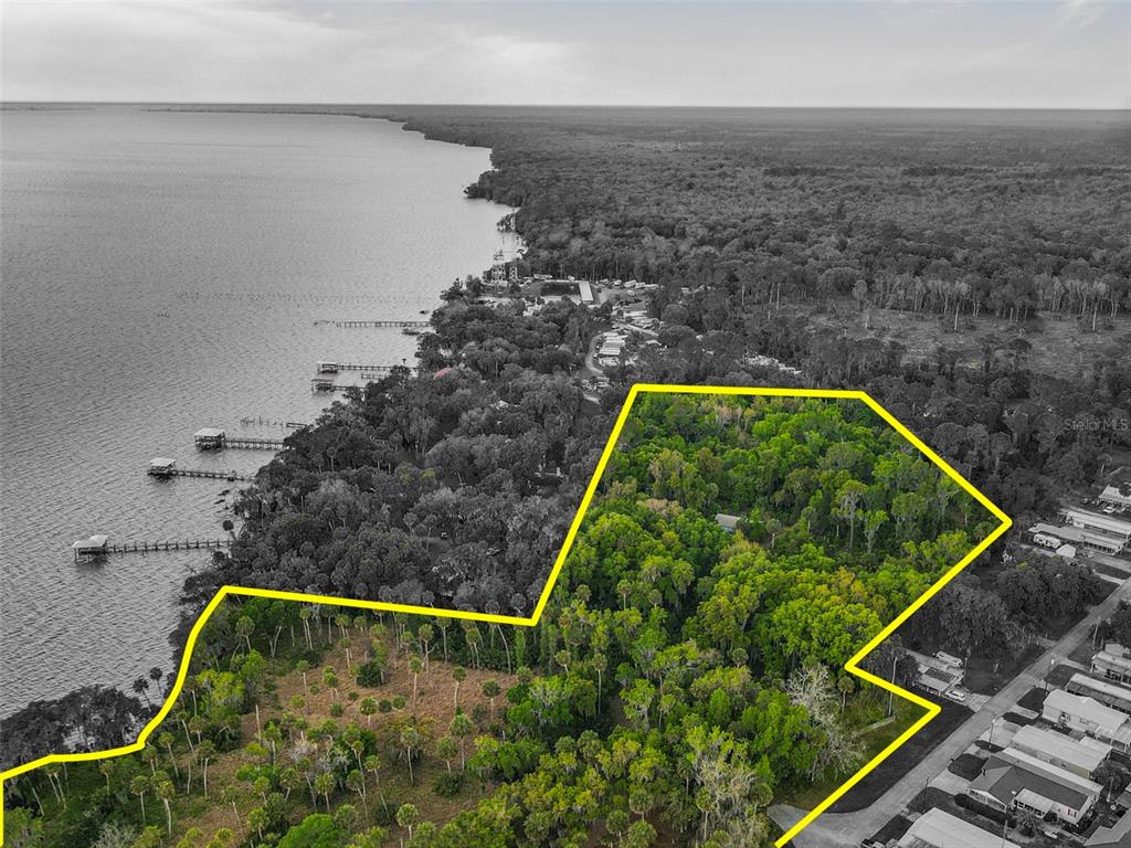 1675 Perch Lane Seville, FL 32190 - Photo 4 of 27