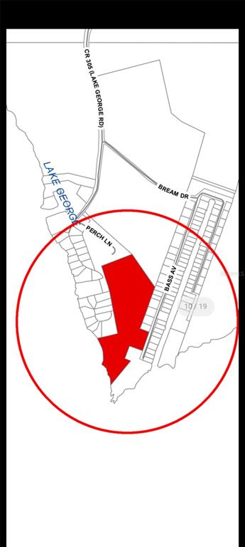 1675 Perch Lane Seville, FL 32190 - Photo 8 of 27