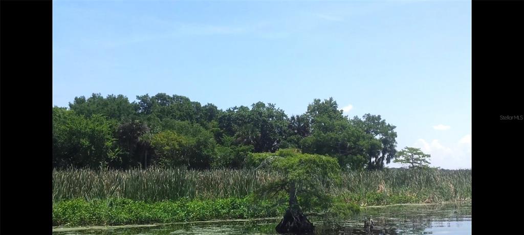 1675 Perch Lane Seville, FL 32190 - Photo 9 of 27 a view of a lake