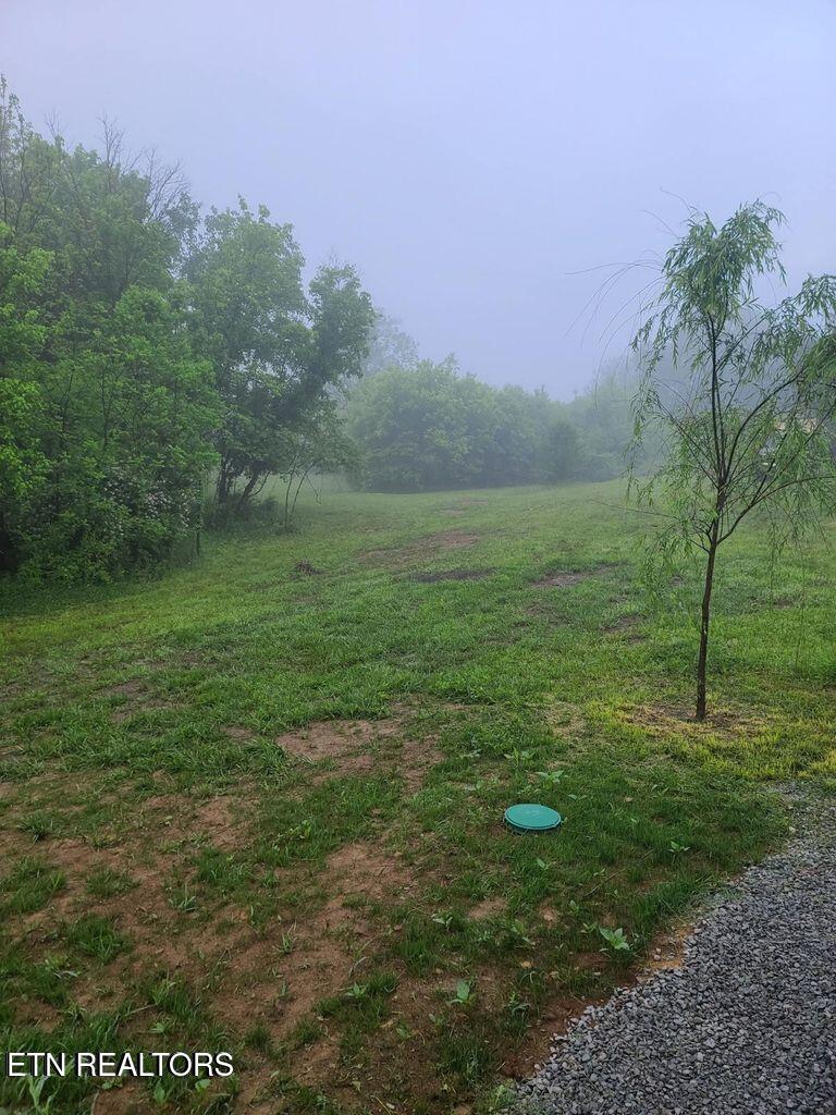 2580 Cawood Road Spring City, TN 37381 - Photo 2 of 5 Rhea 1