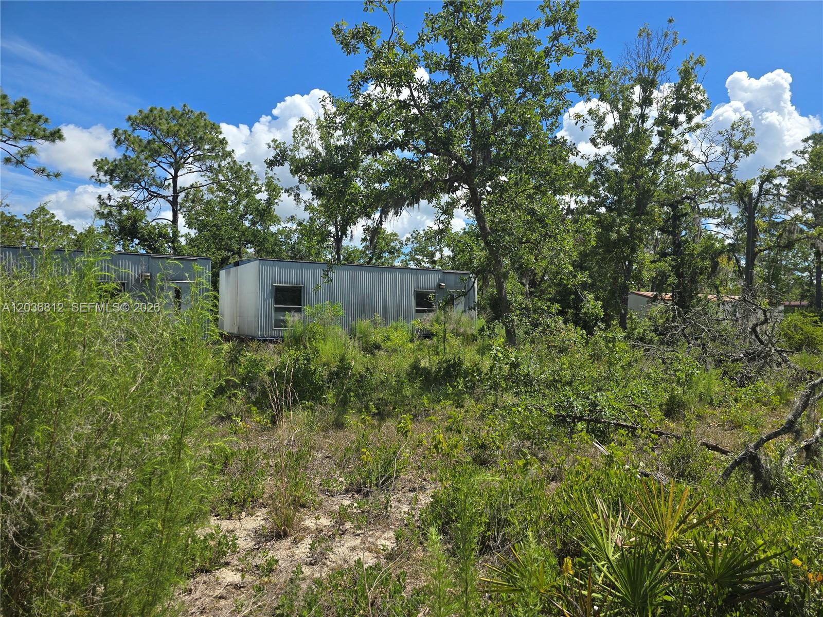2228 Turkey Oak Road Perry, FL 32348 - Photo 4 of 16